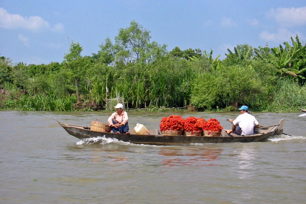 Discover Tet from Hanoi to Mekong Delta