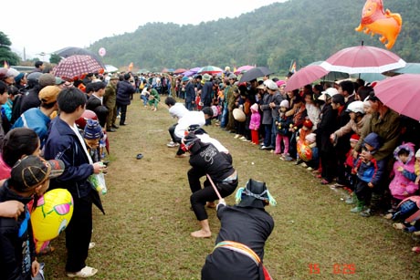 Long Tong festival kicks off in northern provinces
