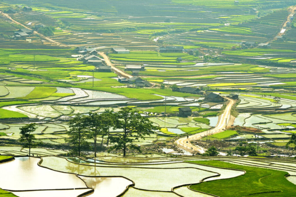Best Time To Take Pictures Of Mu Cang Chai Terraced Rice Fields