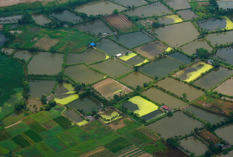 View from helicopter flying over Red River Delta, Vietnam