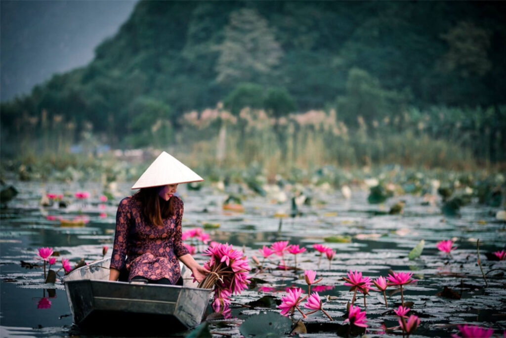 The Beauty of Flowers in Hanoi Vietnam