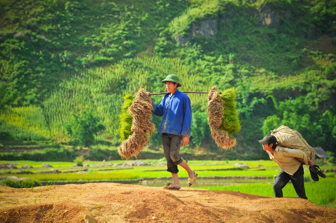 Lim Mong Valley – Must Stop When Travel to Mu Cang Chai