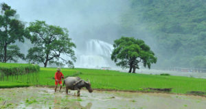 Ban Gioc Waterfall in Cao Bang Vietnam