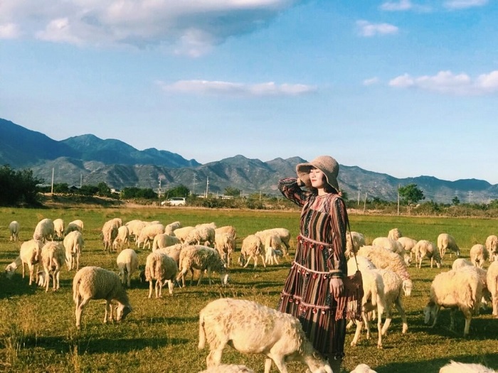 Phan rang Thap Cham - An Hoa Sheep Field