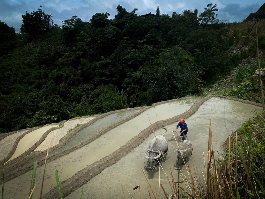 Beautiful landscape of the Northern Vietnam