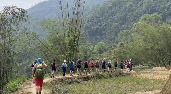 Sustainable Travel Vietnam 2026: Green Resorts & Eco Tours